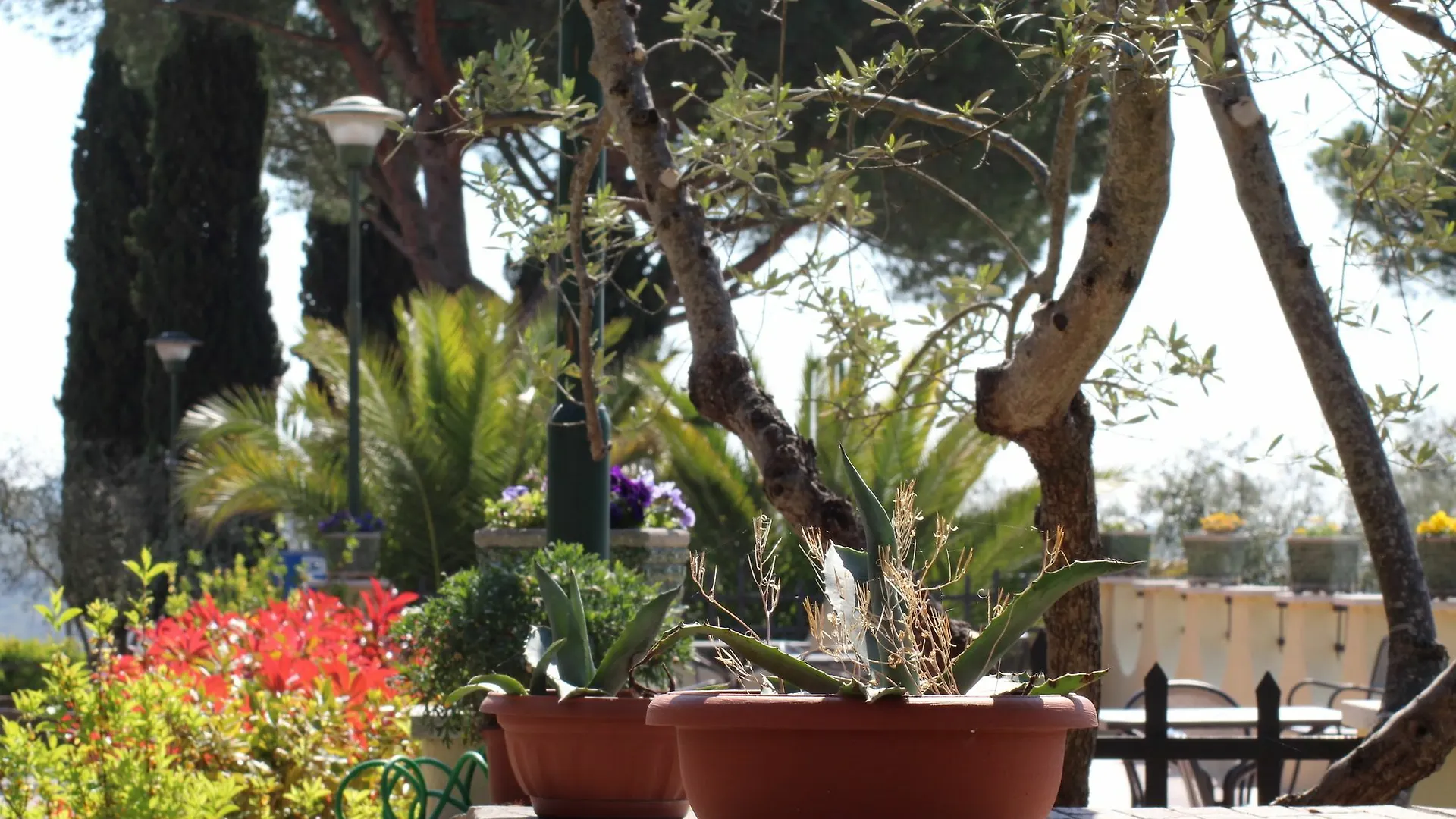 La Loggia - Villa Gloria -Adults Only Quercegrossa Italy